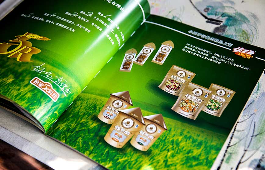 小王子食品宣传册设计