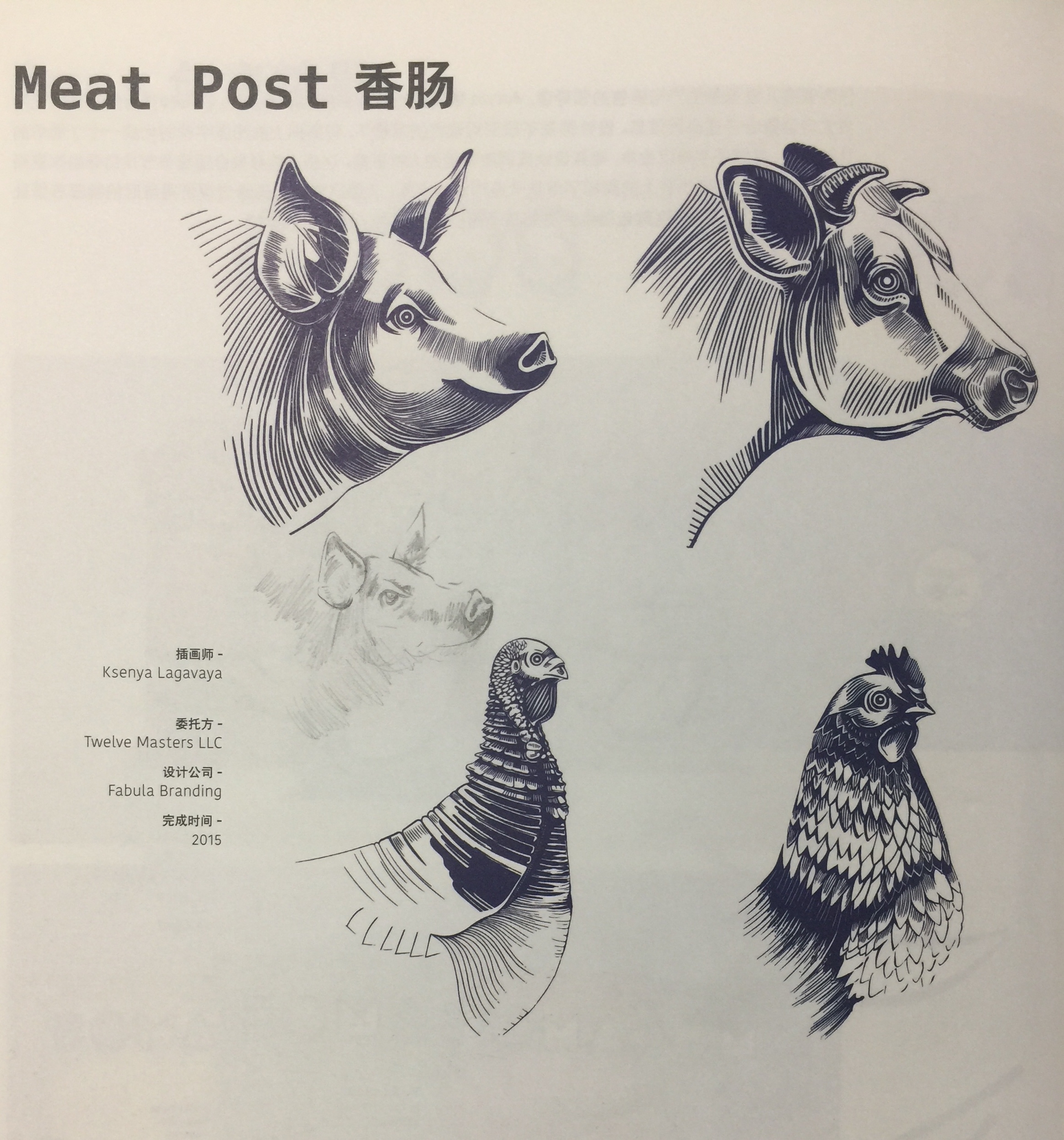 猪肉、小牛肉、鸡肉和火鸡肉香肠包装设计