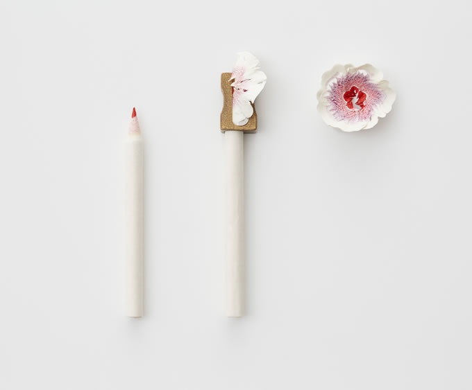 被削掉的铅笔末盛开了花|创意小物设计
